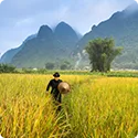订阅最新赛报 - HTH